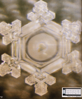 ���肪�Ƃ�