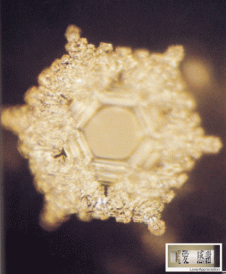 ���Ɗ���